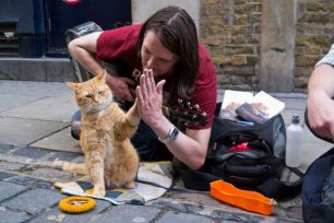 Ένας γάτος πρωταγωνιστεί στη «Σχεδία» στο περιοδικό που πωλούν οι δικοί μας άστεγοι